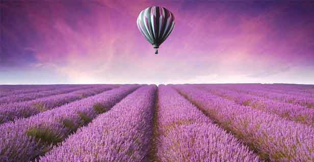 辦公室健康急救包：5個動作，拯救你的工作日